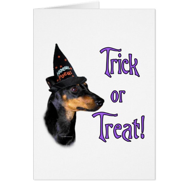 Manchester Terrier Trick (Frente)