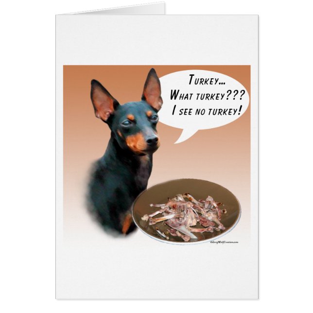Manchester Terrier Turkey (Frente)