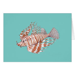 Manchu de los pescados