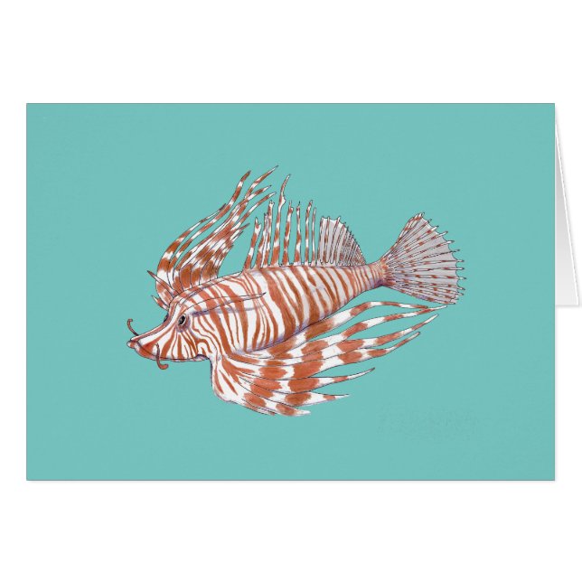 Manchu de los pescados (Anverso (Horizontal))