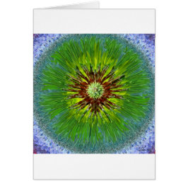 Mandala del resplandor solar de Ponderosa