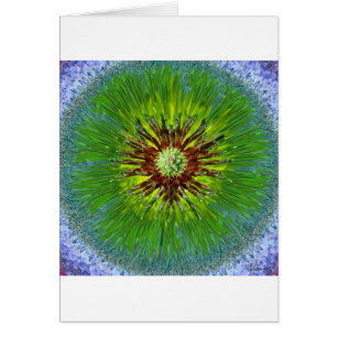 Mandala del resplandor solar de Ponderosa