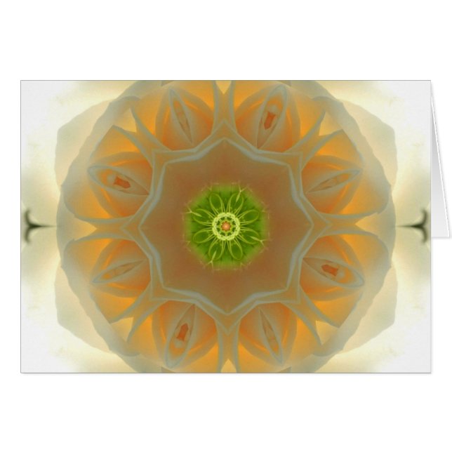 Mandala del rosa blanco (Anverso (Horizontal))
