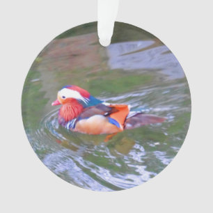 Mandarin Duck #2 Ornamento