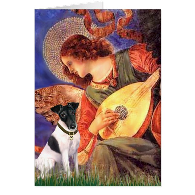 Mandolin Angel - Smooth Fox Terirer (Frente)