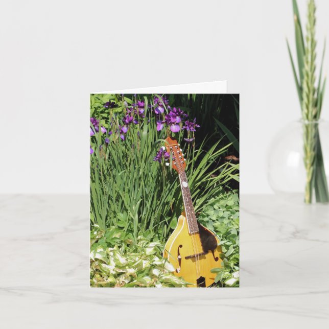 Mandolina y jardín de flores de lirios  (Anverso)