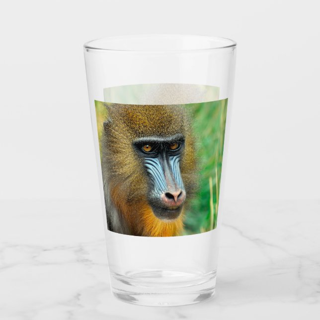 Mandrill 002 (Anverso)