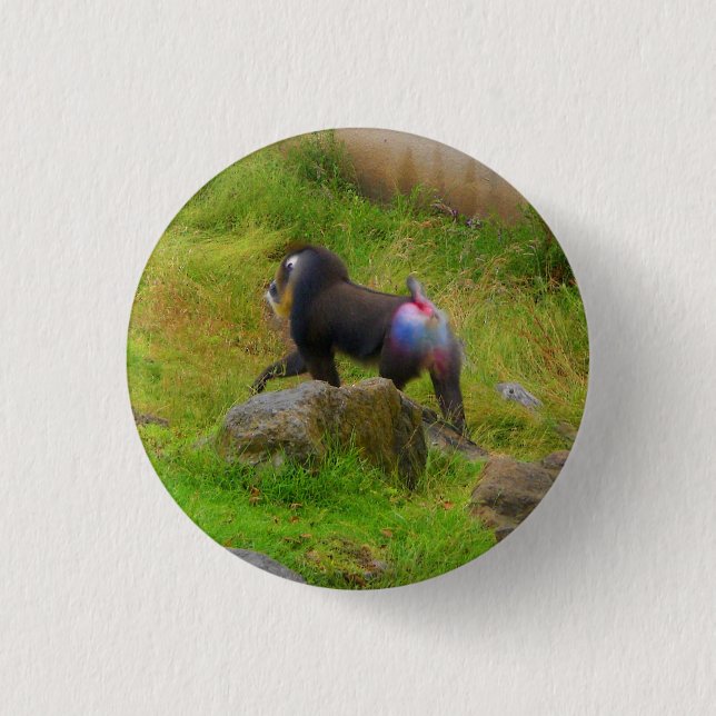Mandrill #4 Botón Pinback (Anverso)