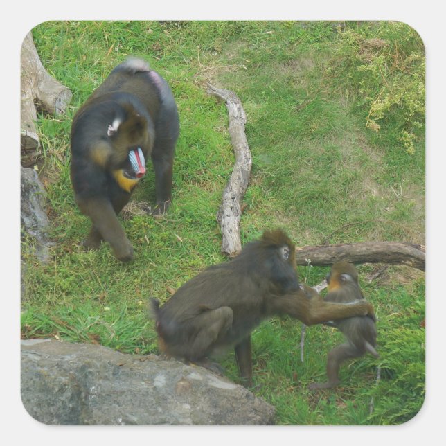 Mandrill #6 Pegatinas (Anverso)