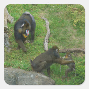 Mandrill #6 Pegatinas