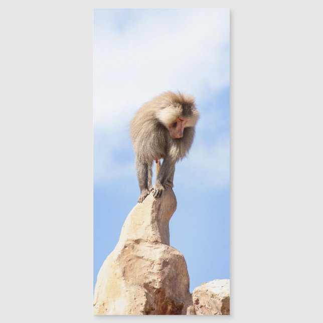 Mandrill en la cima de una montaña (Anverso)