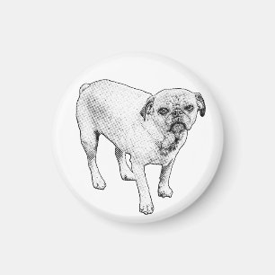 Manga Perro Imán Difunde Buenas Vibraciones Diaria