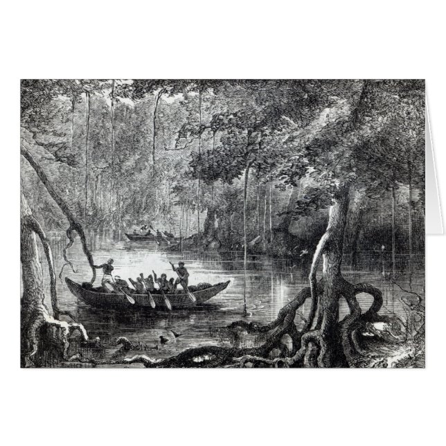 Mangle Forest (Anverso (Horizontal))