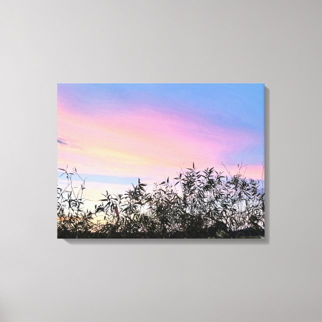 Mango Sunset Sky Blue Pink Canvas de Arte (Anverso)