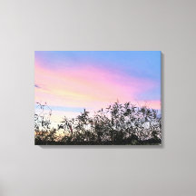 Mango Sunset Sky Blue Pink Canvas de Arte