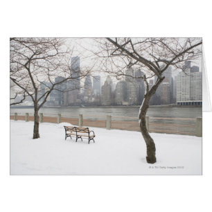 Manhattan en el invierno