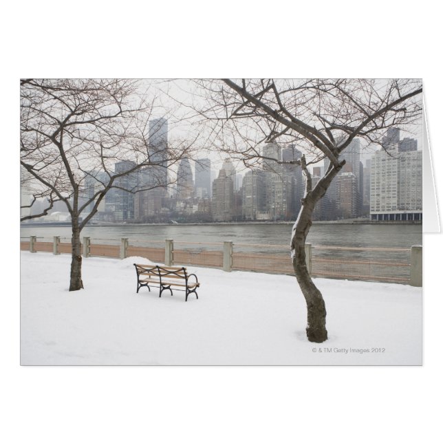 Manhattan en invierno (Anverso (Horizontal))