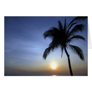 manía de palma de puesta de sol