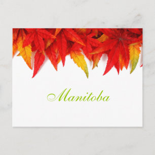 Manitoba Autumn deja su postal