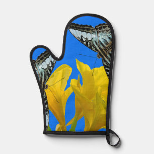 Manoplas Mariposas de barquillos azules malayas en Canna Ki