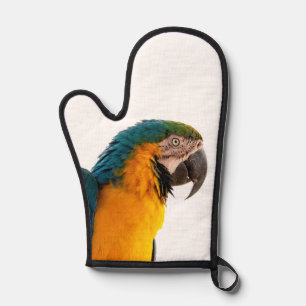 Manoplas Notas de Parrot
