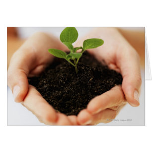 Manos sujetando el retoño