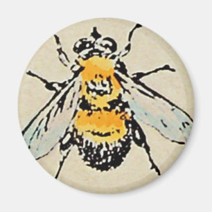 Manosee el imán de la abeja
