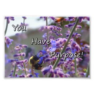 Manosee la foto de la abeja que usted tiene