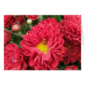 Manosee la tarjeta en blanco de la abeja y de la