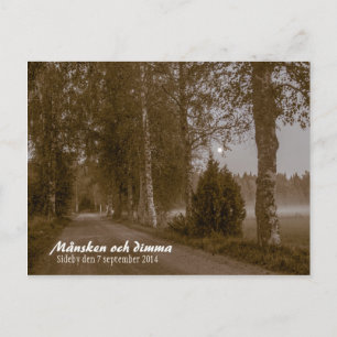Månsken och dimma CC0545 Postal Sideby