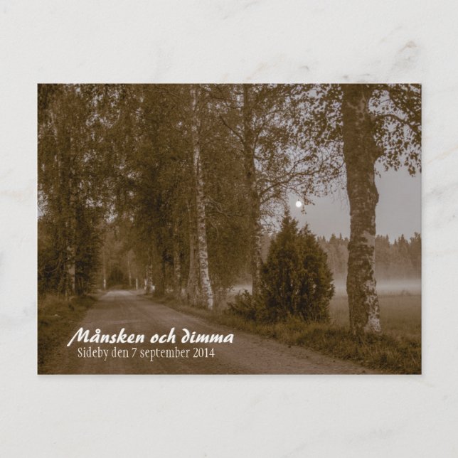 Månsken och dimma CC0545 Postal Sideby (Anverso)