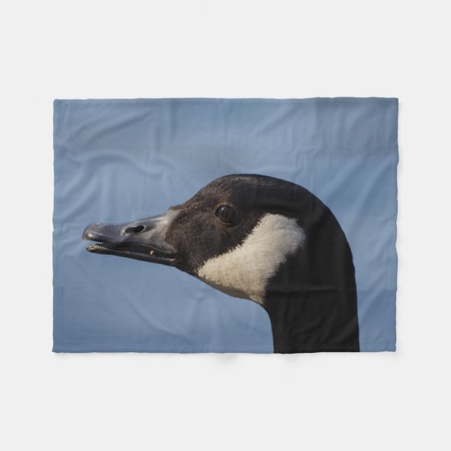 Manta abierta de cebolla de Canadá (Frente (Horizontal))