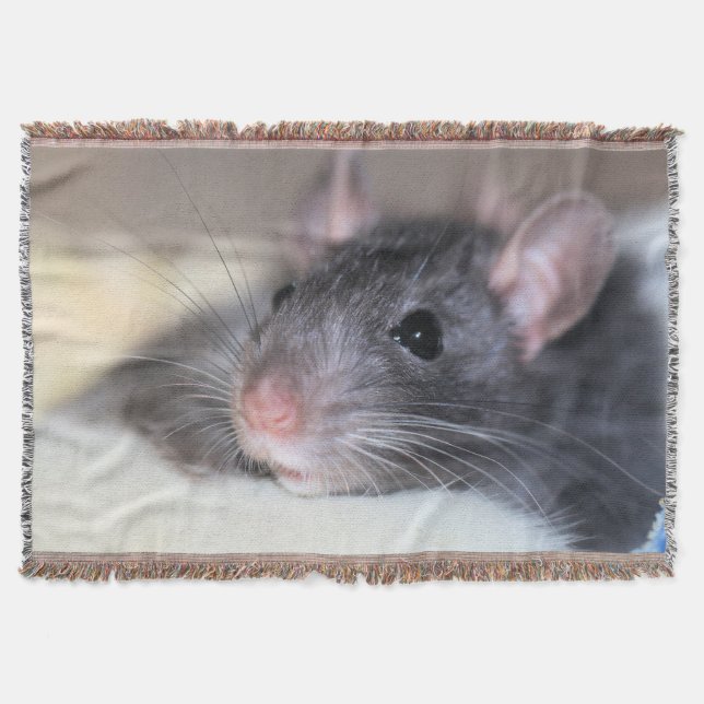 Manta Adorable (Anverso)