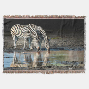 Manta África,Botsuana, Delta del Okavango, Davison Camp