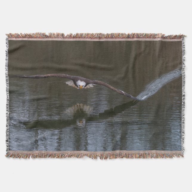 Manta Águila calva en vuelo (Anverso)