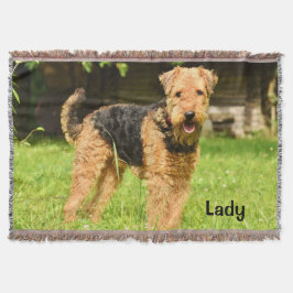 Manta Airedale Terrier Perro Cachorro