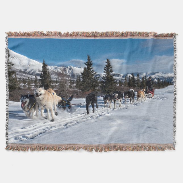 Manta Alaska Husky Dog Sled Race (Anverso)