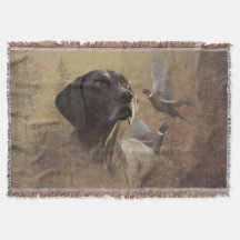 Alemán Shorthtransmitió Pointer ,Deutsch Kurzhaar