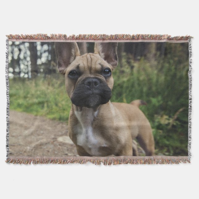 Manta Almohada de French Bulldog (Anverso)