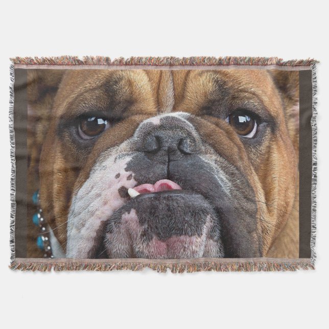 Manta Almohada de inglés bulldog (Anverso)