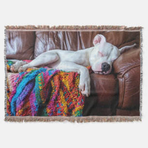 Manta Amar al perro de Pitbull durmiendo en el sofá