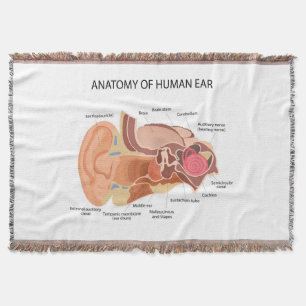 Manta Anatomía de los oídos humanos