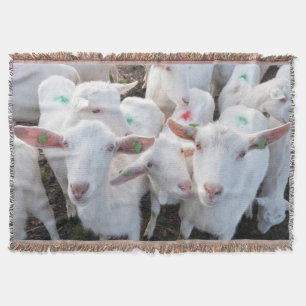 Manta Animales de cabras