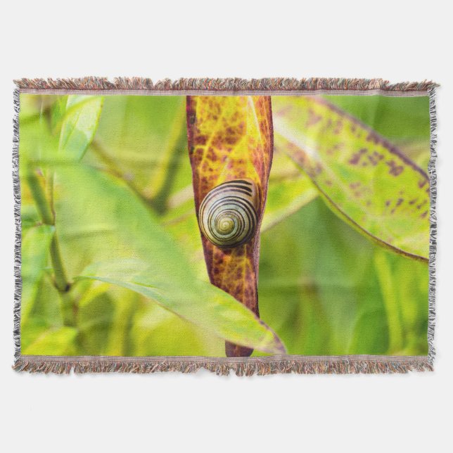 Manta apego (Anverso)