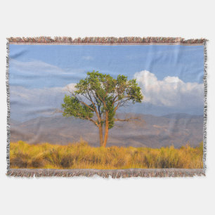 Manta Árbol