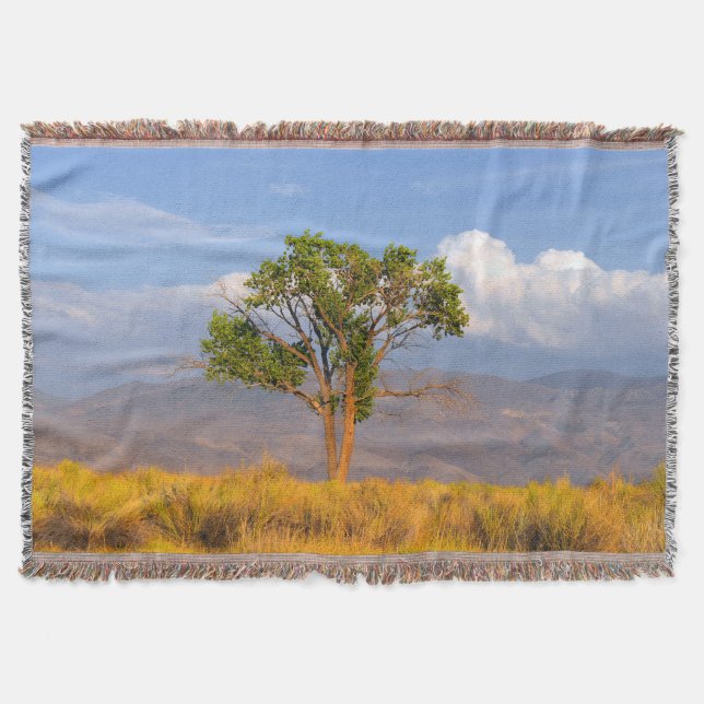 Manta Árbol (Anverso)