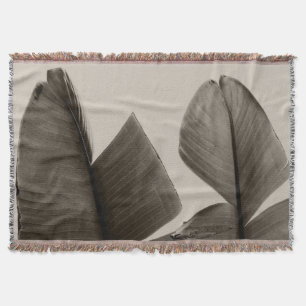 Manta Árbol de plátanos sale de Sepia