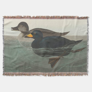 Manta Audubon American Scoter Duck