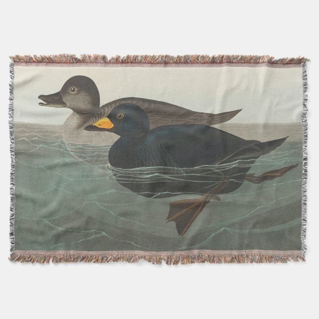 Manta Audubon American Scoter Duck Classic (Anverso)
