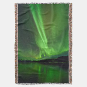Manta Aurora eterna